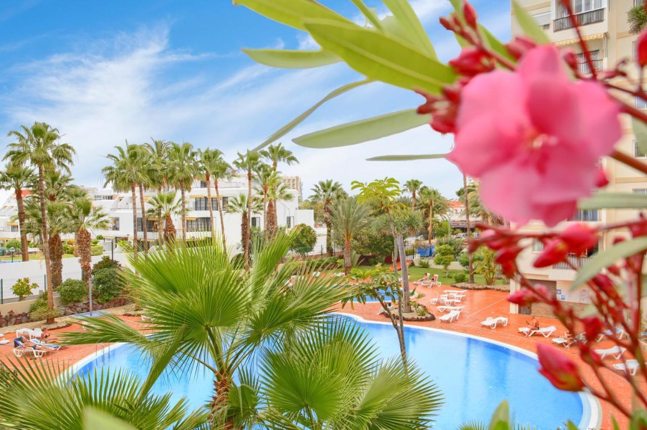 Studio Eldorado In Playa De Las Americas Near The Beach Арона Экстерьер фото